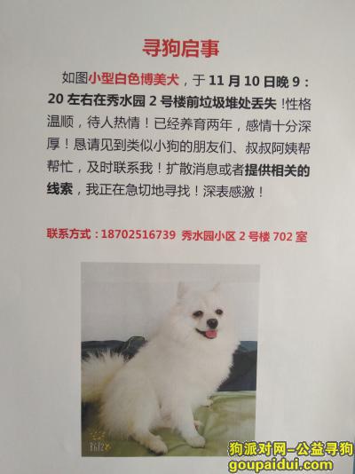 【北京找狗】，急寻白色博美！！千元酬谢！！，它是一只非常可爱的宠物狗狗，希望它早日回家，不要变成流浪狗。