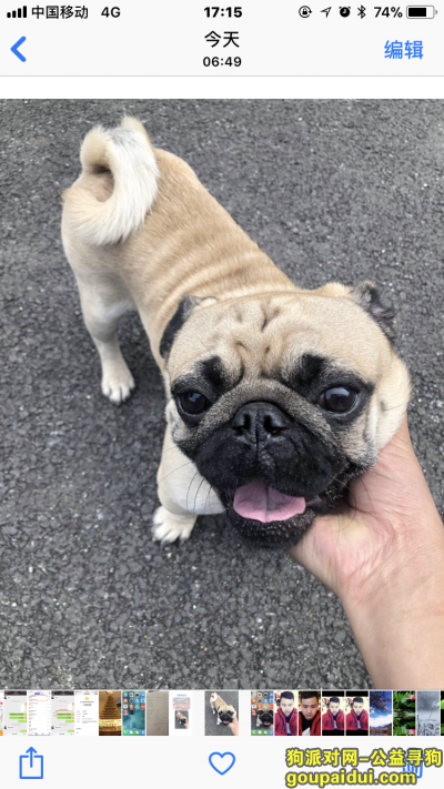 【南京找狗】，酬谢3000元寻找丢失的爱犬，它是一只非常可爱的宠物狗狗，希望它早日回家，不要变成流浪狗。