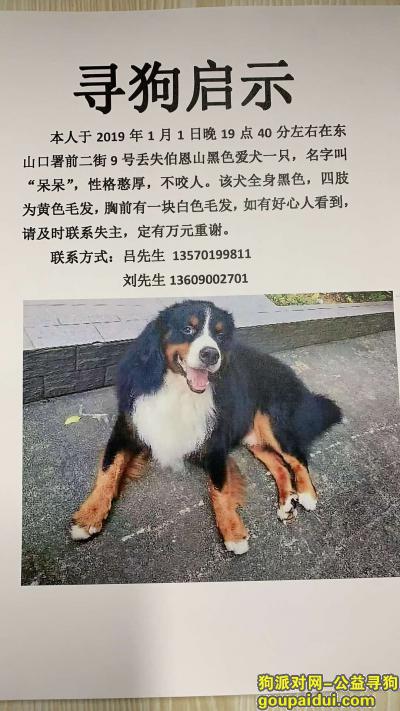【广州找狗】，寻找养育多年的呆萌爱犬！，它是一只非常可爱的宠物狗狗，希望它早日回家，不要变成流浪狗。