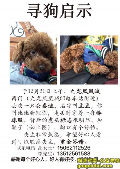 【徐州找狗】，寻找爱狗，赏金1000元，它是一只非常可爱的宠物狗狗，希望它早日回家，不要变成流浪狗。