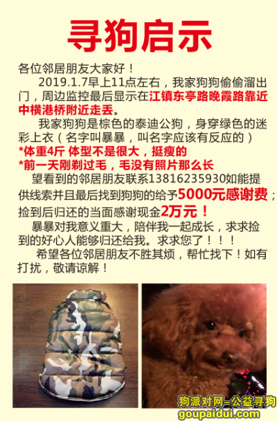 浦东机场镇江镇丢失一只棕色小泰迪穿着迷彩上衣，它是一只非常可爱的宠物狗狗，希望它早日回家，不要变成流浪狗。