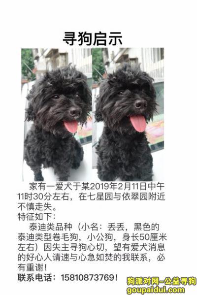 【北京找狗】，拜托拜托小可怜赶紧回家吧，它是一只非常可爱的宠物狗狗，希望它早日回家，不要变成流浪狗。