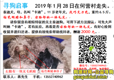 寻找泰迪狗(北京昌平)，它是一只非常可爱的宠物狗狗，希望它早日回家，不要变成流浪狗。