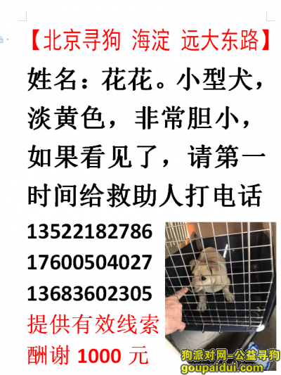 【北京找狗】，北京市海淀区四季青远大路附近 3.5号丢的，它是一只非常可爱的宠物狗狗，希望它早日回家，不要变成流浪狗。