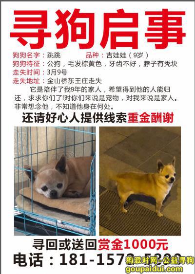 【徐州找狗】，陪伴9年的狗丢了，后悔去留学，它是一只非常可爱的宠物狗狗，希望它早日回家，不要变成流浪狗。
