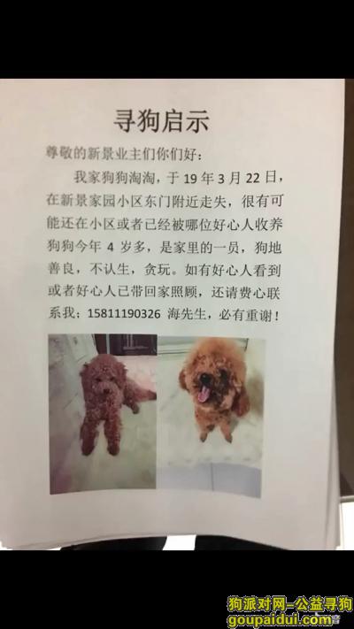 狗狗丢失北京东城区崇文门新景家园，它是一只非常可爱的宠物狗狗，希望它早日回家，不要变成流浪狗。