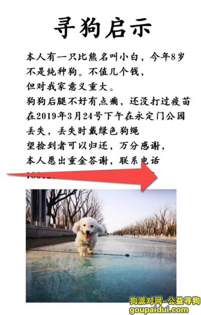 【北京找狗】，东城区永定门公园附近丢失，它是一只非常可爱的宠物狗狗，希望它早日回家，不要变成流浪狗。
