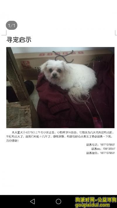 找狗狗，苏苏，汉阳小区这附近，万分感谢，它是一只非常可爱的宠物狗狗，希望它早日回家，不要变成流浪狗。