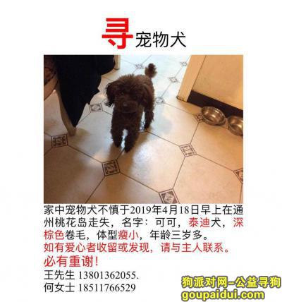 【北京找狗】，北京通州区桃花岛小区酬谢3000元寻找泰迪，它是一只非常可爱的宠物狗狗，希望它早日回家，不要变成流浪狗。