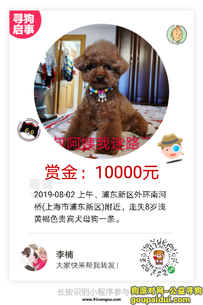 【上海找狗】，狗狗在浦东新区三林镇外环走失，它是一只非常可爱的宠物狗狗，希望它早日回家，不要变成流浪狗。