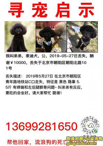 【北京找狗】，万元寻狗 北京朝阳区大悦城 被偷走的！，它是一只非常可爱的宠物狗狗，希望它早日回家，不要变成流浪狗。
