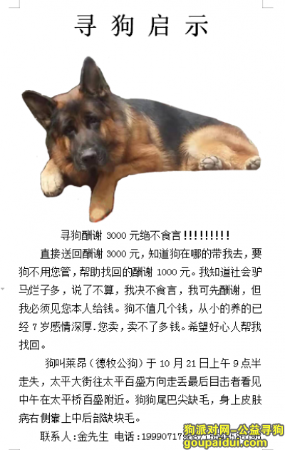 哈尔滨寻狗启示，看图片详细，有细节跟方式，，它是一只非常可爱的宠物狗狗，希望它早日回家，不要变成流浪狗。
