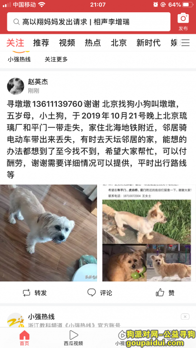 【北京找狗】，墩墩丢在西城琉璃厂和平门附近，13611139760请好心朋友帮忙，谢谢，浅黄色土狗五岁母，它是一只非常可爱的宠物狗狗，希望它早日回家，不要变成流浪狗。