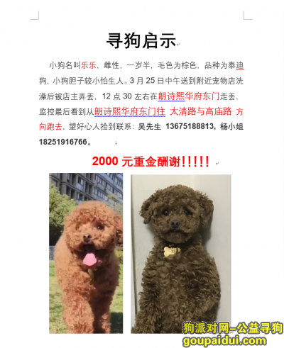 【南京找狗】，小棕色泰迪在朗诗熙华府东门附近走丢，它是一只非常可爱的宠物狗狗，希望它早日回家，不要变成流浪狗。