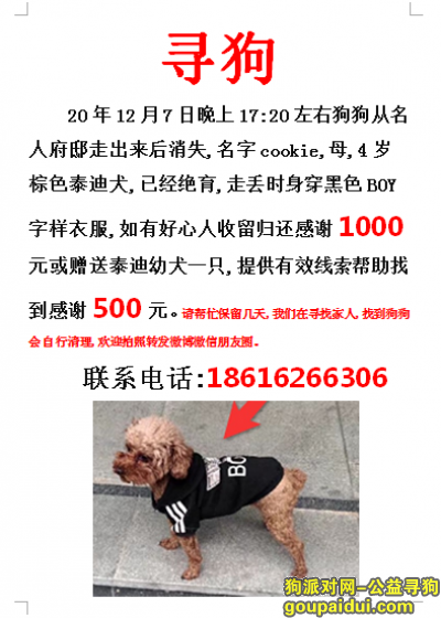 上海寻狗，上海松江区名人府邸寻找泰迪，它是一只非常可爱的宠物狗狗，希望它早日回家，不要变成流浪狗。