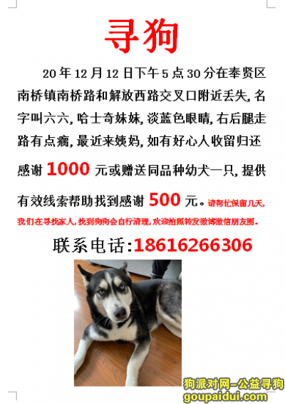 上海找狗，上海奉贤区南桥镇南桥路寻找哈士奇，它是一只非常可爱的宠物狗狗，希望它早日回家，不要变成流浪狗。
