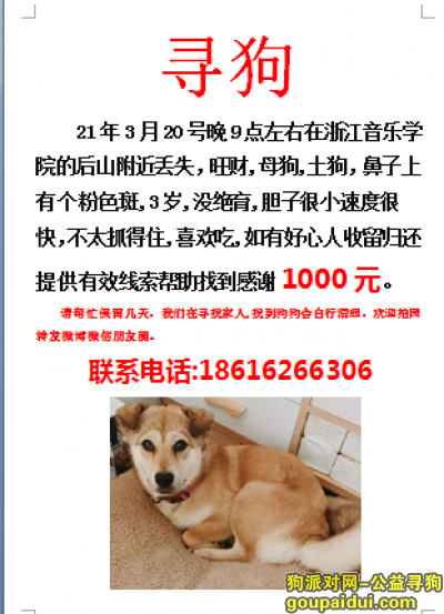 杭州寻狗，杭州市浙江音乐学院酬谢一千元寻找旺财，它是一只非常可爱的宠物狗狗，希望它早日回家，不要变成流浪狗。